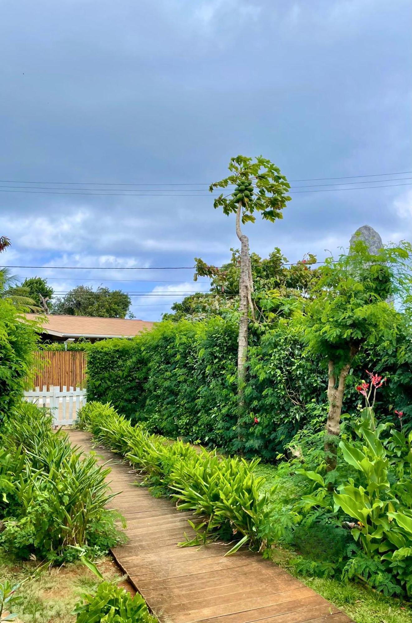Casa Do Anjo Hotel Fernando de Noronha Kültér fotó